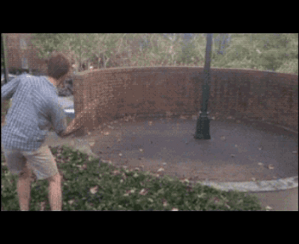 Enjoying Frisbee Alone GIF