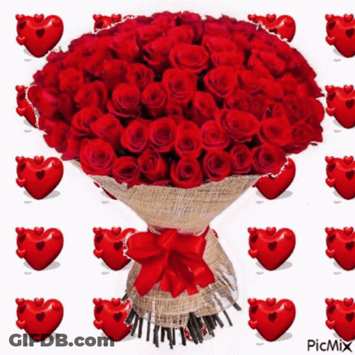 Enormous Red Roses Bouquet GIF