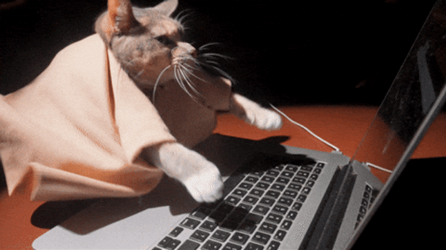 Entertaining Cat Typing Keyboard Pretending To Work GIF