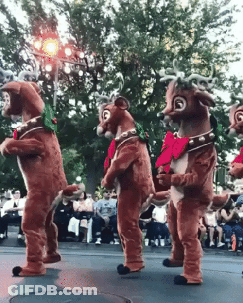 Entertaining Dancing Reindeer Lining GIF