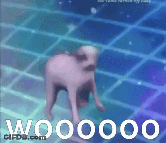 Entertaining Dog Dancing Woooo GIF