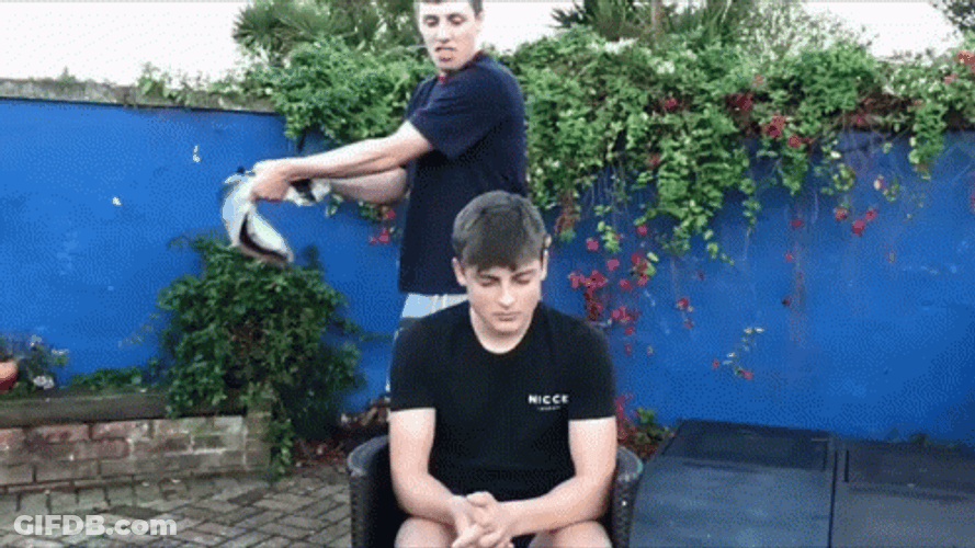 Entertaining Powerful Fish Smack GIF