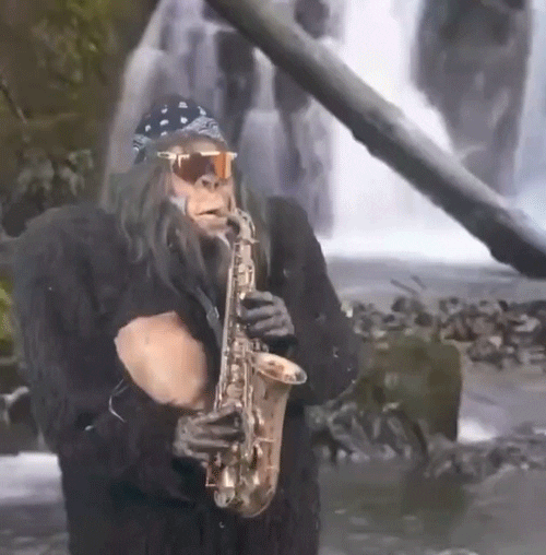 Entertaining Sasquatch Saxophone Falls GIF
