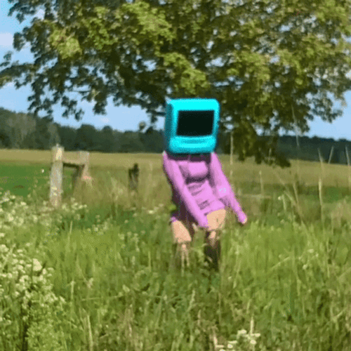 Entertaining Tv Lady Dancing Fields GIF