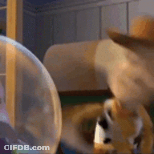 Entertaining Woody Laughing Hard GIF