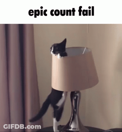 Epic Cat Count Fail GIF