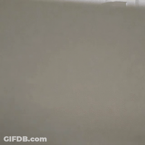 Epic Cat Suspense Scary Look GIF