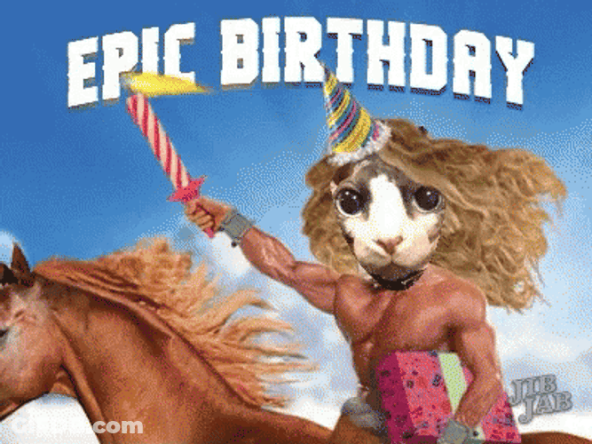 Epic Happy Birthday Cat Riding Horse GIF