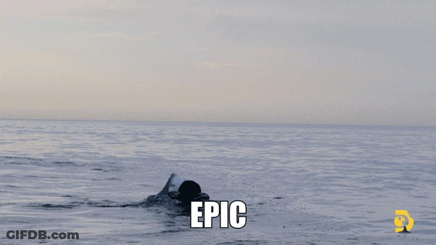 Epic Shark Jump Twirl Ocean GIF