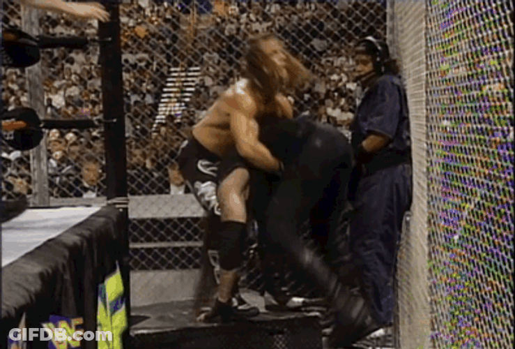 Epic Shawn Michaels Wrestling Knockout GIF