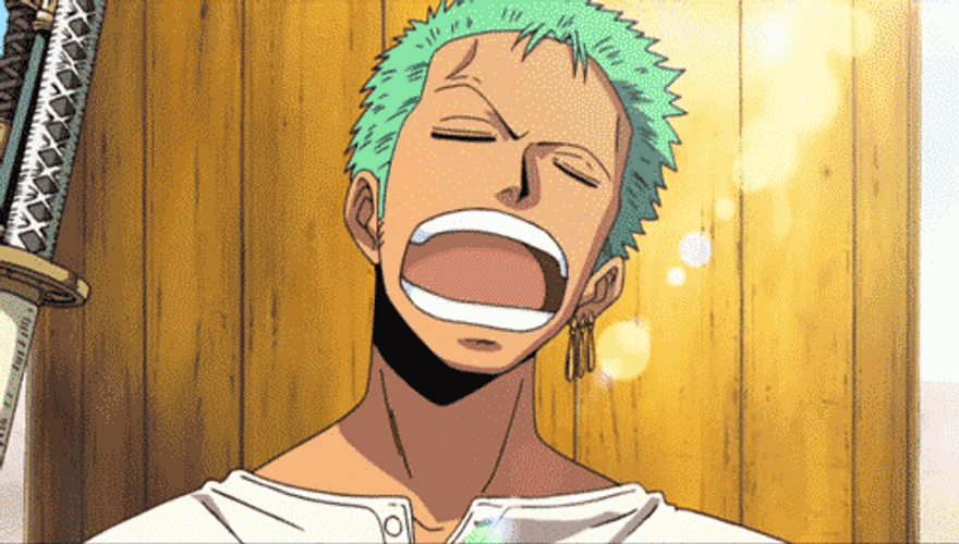 Epic Zoro Fast Reaction GIF