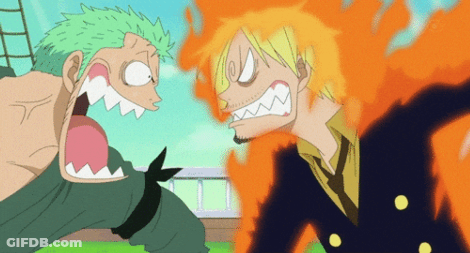 Epic Zoro Fight With Sanji GIF