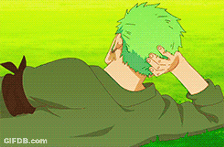 Epic Zoro Having A Break GIF