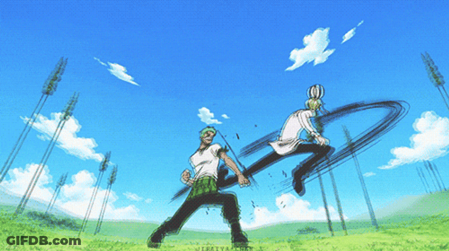 Epic Zoro Rehearsal Fight GIF