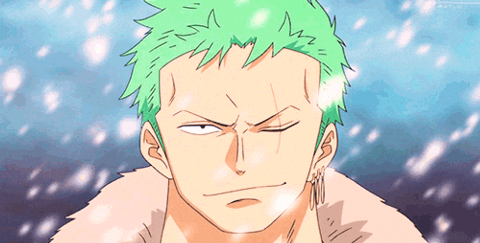 Epic Zoro Smirk Under The Snow GIF