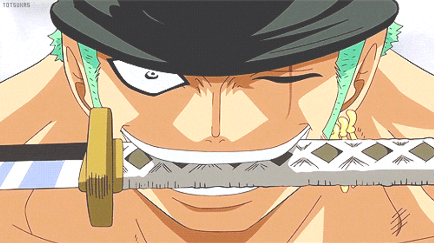 Epic Zoro Wado Ichimonji GIF