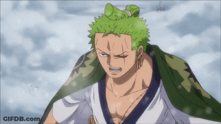 Epic Zoro Weak Under The Snow GIF