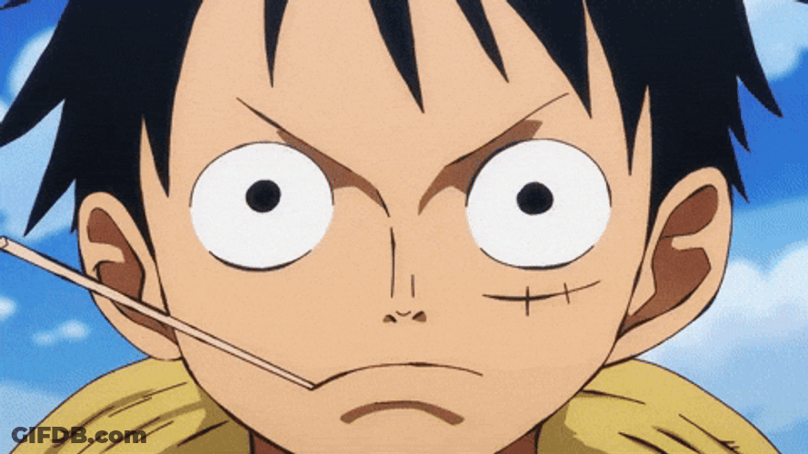 Epic Zoro With Luffy GIF