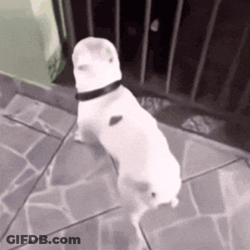 Epico GIF