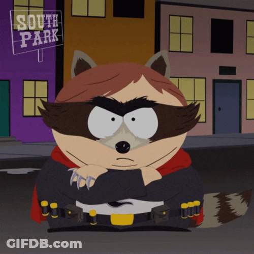 Eric Cartman Vigilante Raccoon GIF
