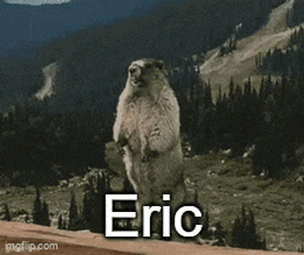 Eric Eric Beaver GIF