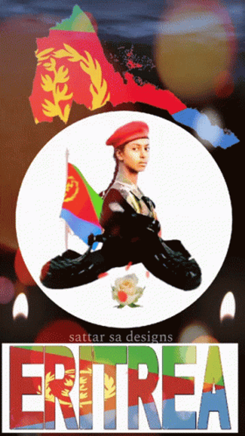 Eritrea Plane Flying GIF