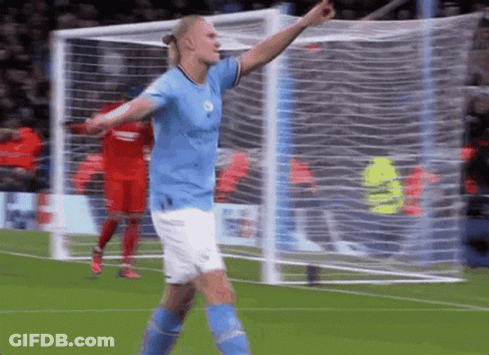 Erling Haaland Good Job GIF