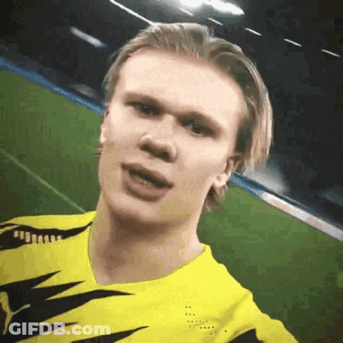 Erling Haaland Sancho GIF