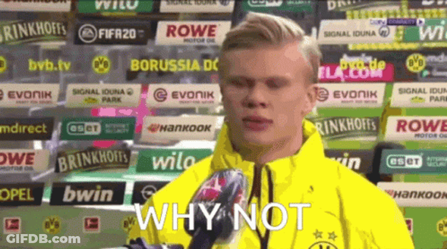Erling Haaland Why Not GIF