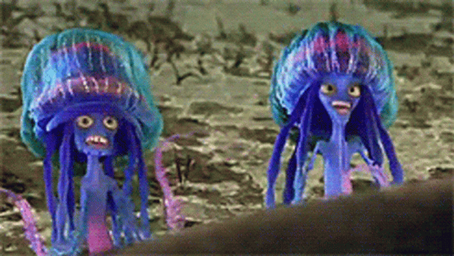 Ernie And Bernie Jellyfish GIF