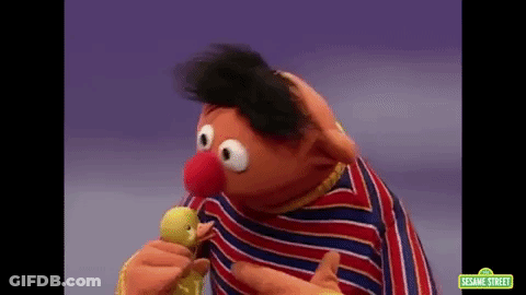 Ernie From Sesame Street Holding Stuffed Duck GIF