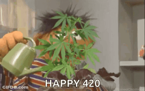 Ernie Sesame Street Watering Marijuana Plant Happy 420 GIF