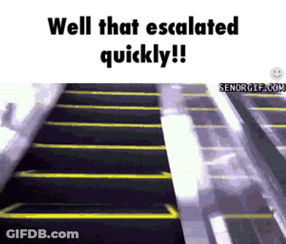 Escalator Moment Well That Escalated Quickly GIF