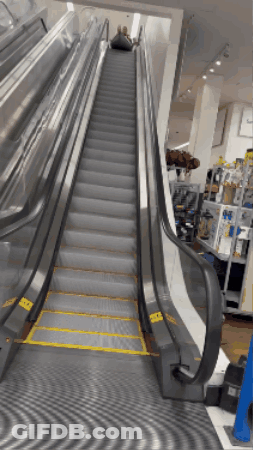 Escalator With Yellow Stripe On Bottom Steps GIF