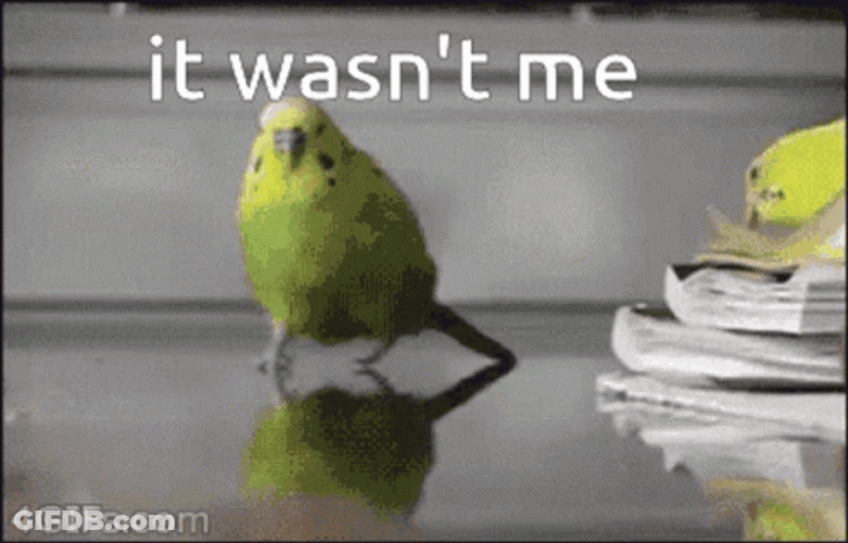 Escaping Bird On Exploding Area It Wasnt Me GIF