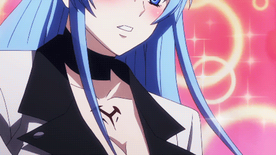 Esdeath Blush Tatsumi Win GIF