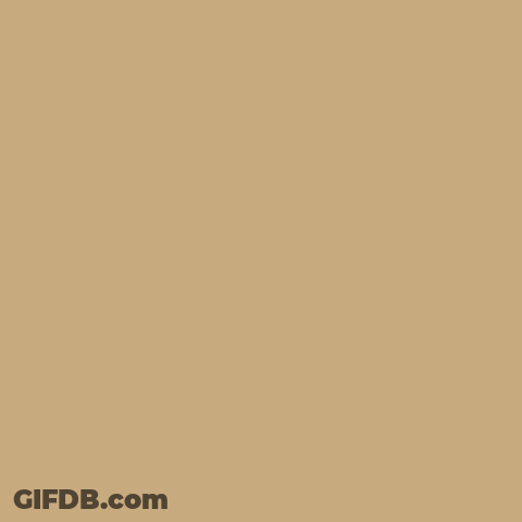 Essential Suede Shearling For Men And Women GIF