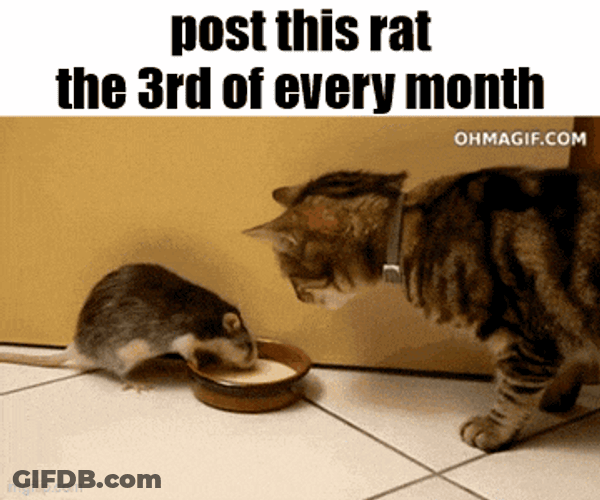 Essica Monthly GIF