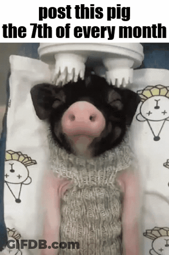 Essica Monthly GIF