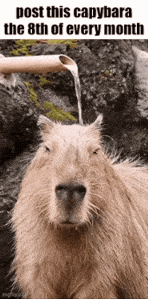 Essica Monthly GIF