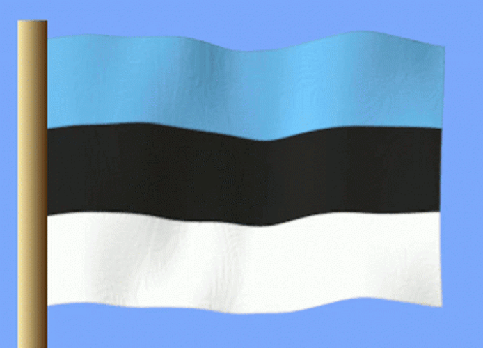 Estonia Flag Animation GIF