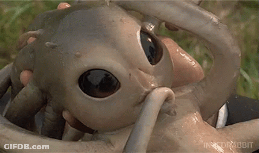 Et That Looks Like A Squid GIF