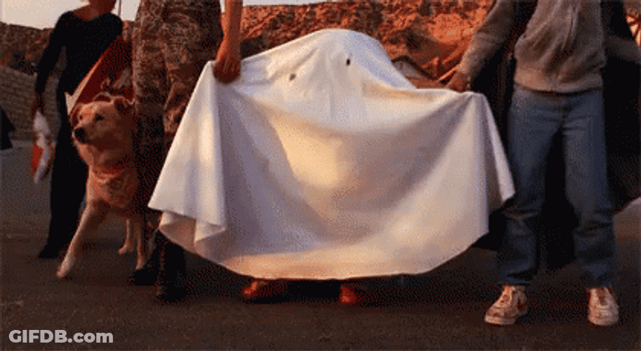 Et GIF
