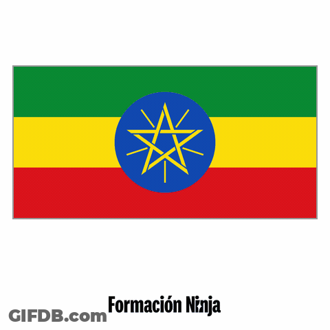 Ethiopian Flag With Formacion Ninja GIF