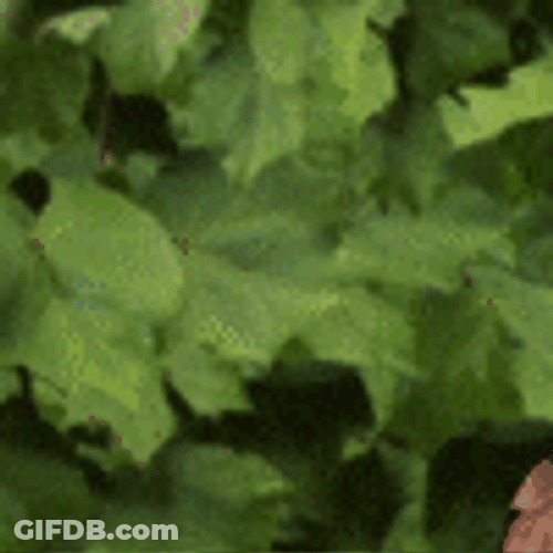 Etnia Barcelona Looking For Something GIF