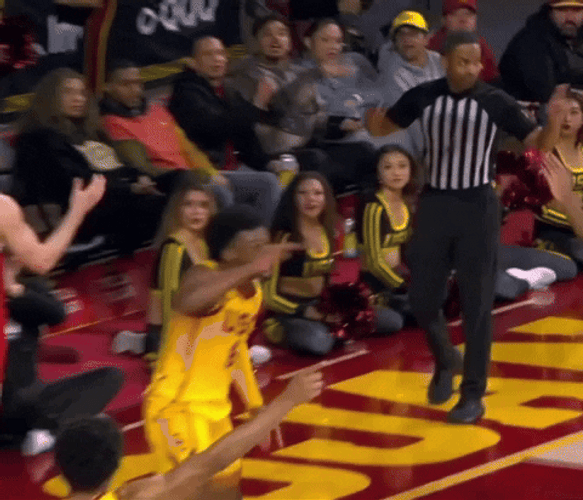 Euphoric Bronny James Celebrating GIF