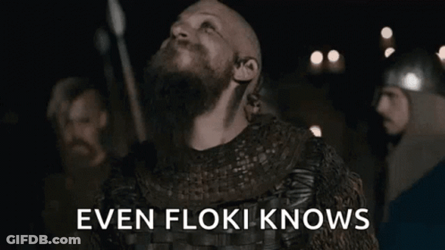Even Viking Floki Knows GIF