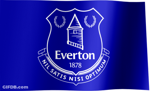 Everton 1878 Blue Flag GIF