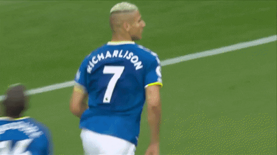 Everton Fc Celebrating Champions GIF