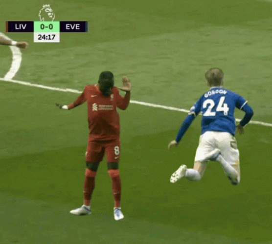 Everton Fc Players Animation GIF